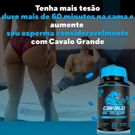 cavalo-grande-big-0