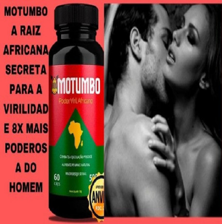 motubo-africano-big-0