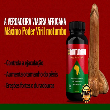 motubo-africano-big-4