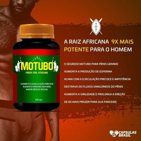 motubo-africano-big-6