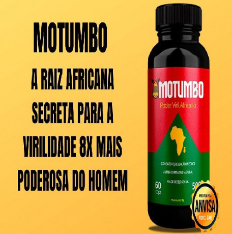 motubo-africano-big-3